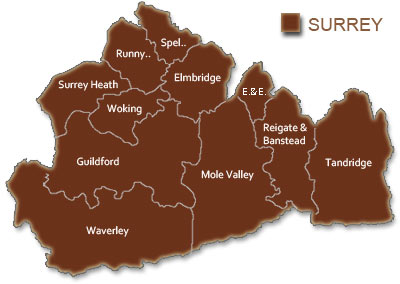 Surrey County Map